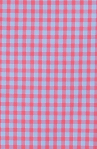 Checked shirt in blue and pink